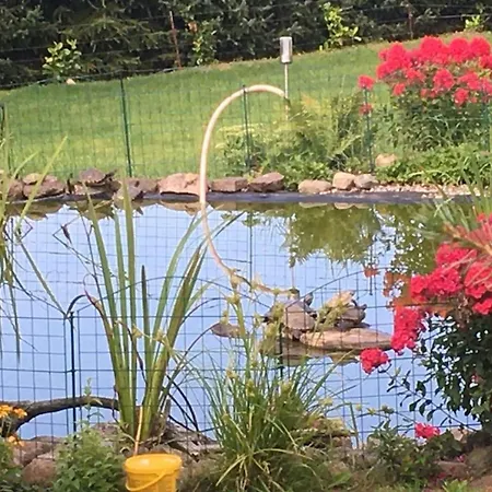 Claudia Landurlaub - Abc332 Neuburg (Mecklenburg-Vorpommern)