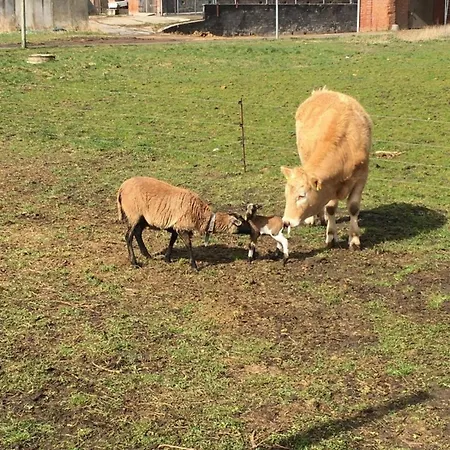 Appartement Claudia Landurlaub - Abc332 Neuburg (Mecklenburg-Vorpommern)