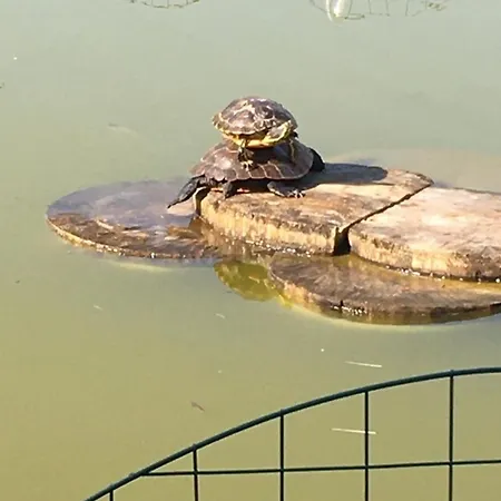 Claudia Landurlaub - Abc332 Appartement