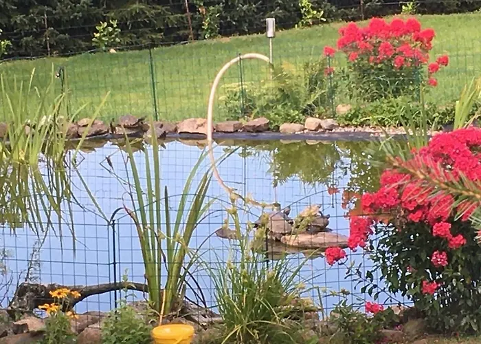 Claudia Landurlaub - Abc332 Neuburg (Mecklenburg-Vorpommern)