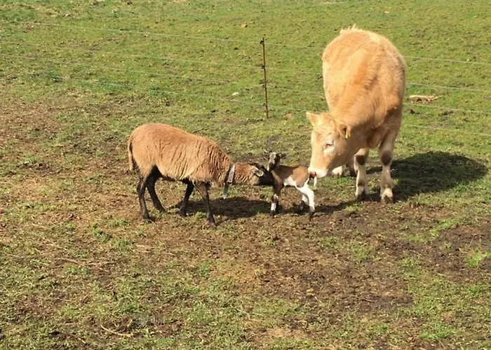 아파트 Claudia Landurlaub - Abc332 Neuburg (Mecklenburg-Vorpommern)