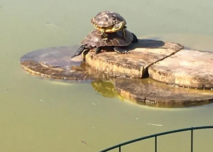 Claudia Landurlaub - Abc332 아파트